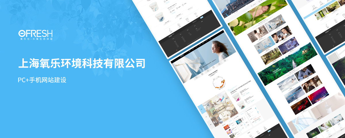 上海氧乐仕中文品牌网站建设